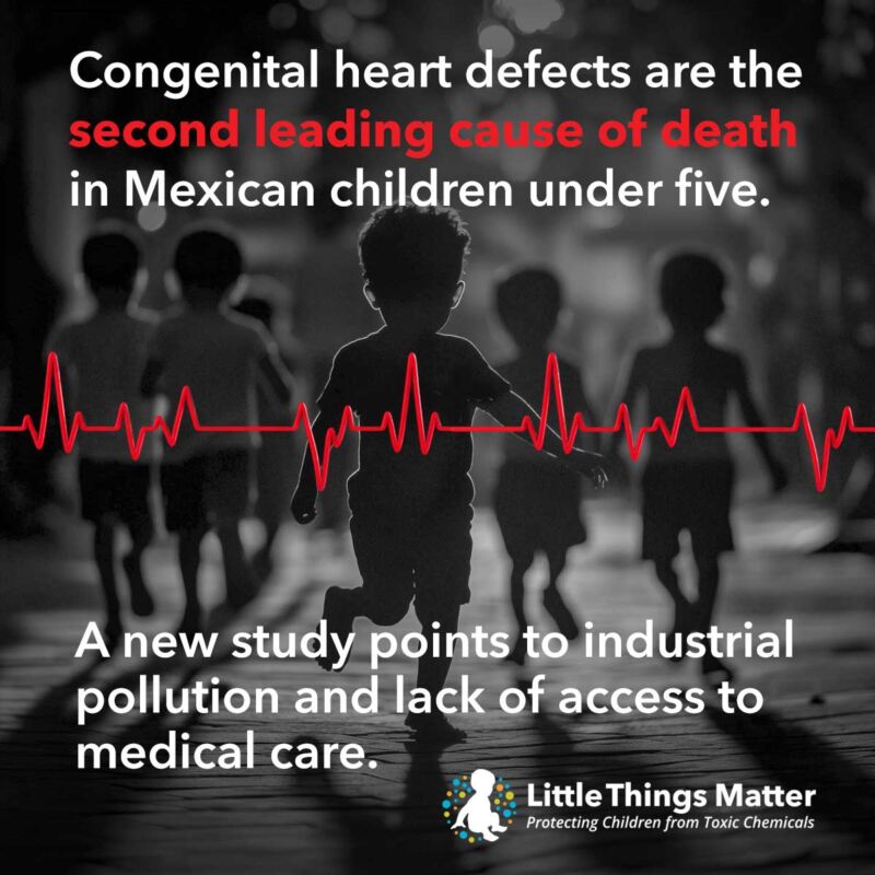 Image for the Tweet beginning: A new study led by